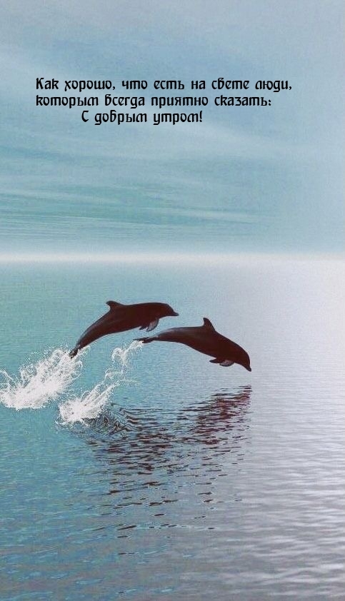 ���� ������ �� ������