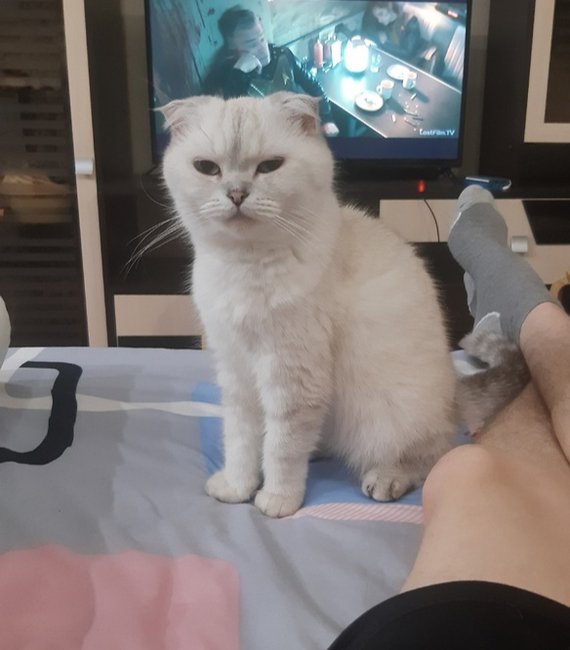 ���� ������, ���� �� �� �������� ������� �� �����