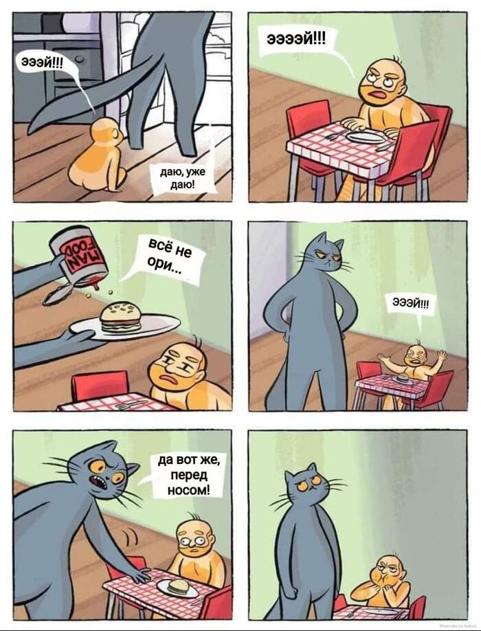 ! , , ,  , , 