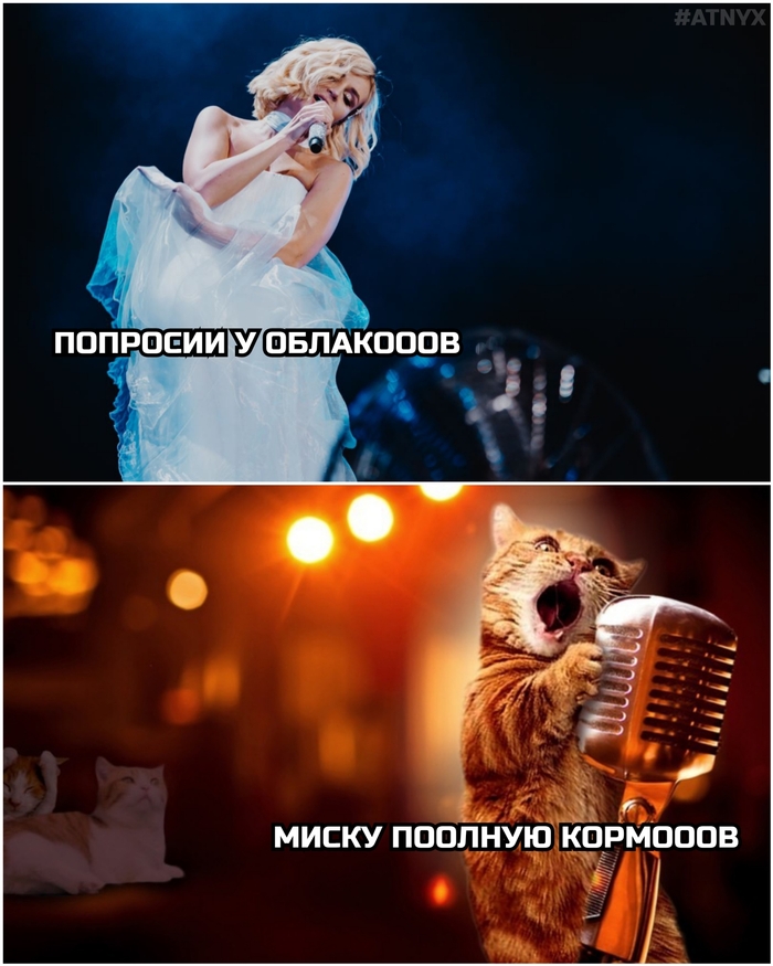 �������������...