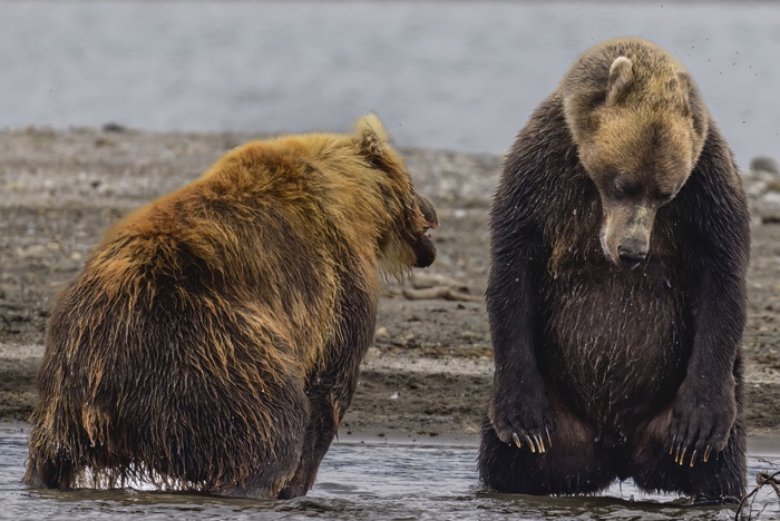 "Я больше не буду!"