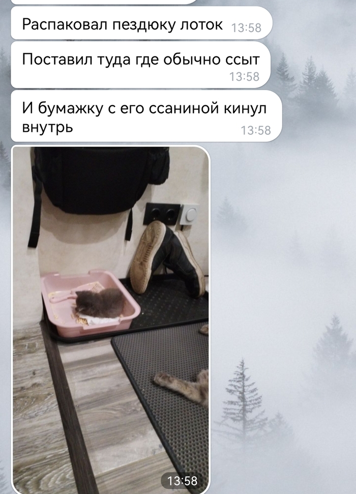 ��, ��� ����� ����� � ������