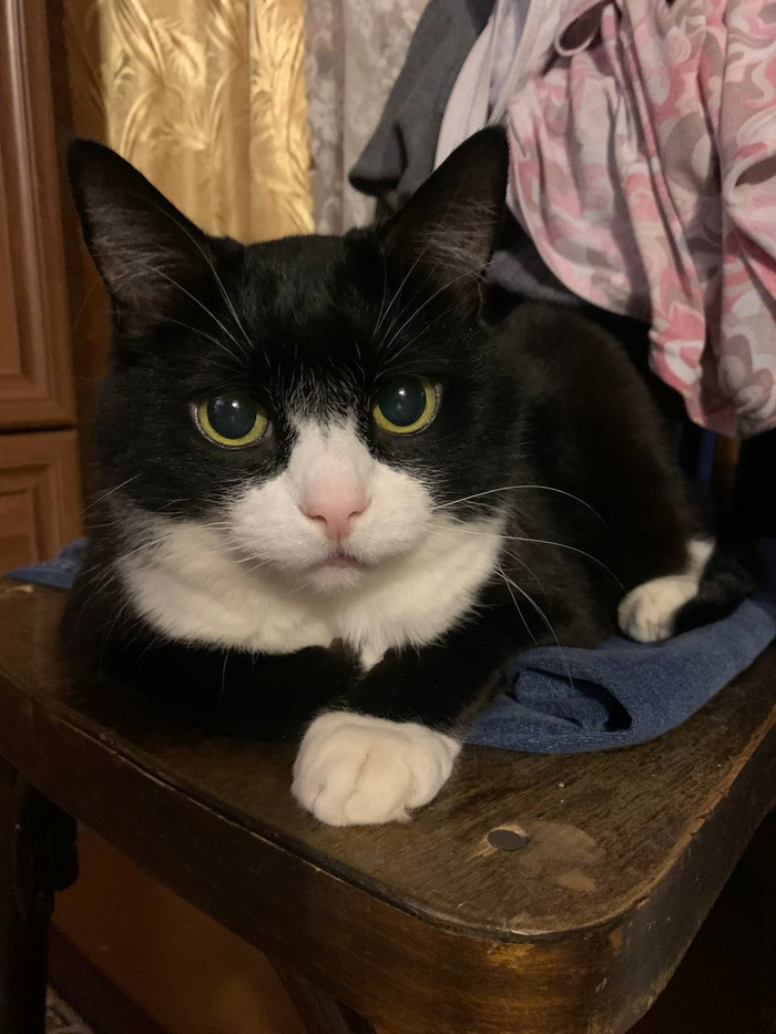 ������ ����� ����� �������� ����