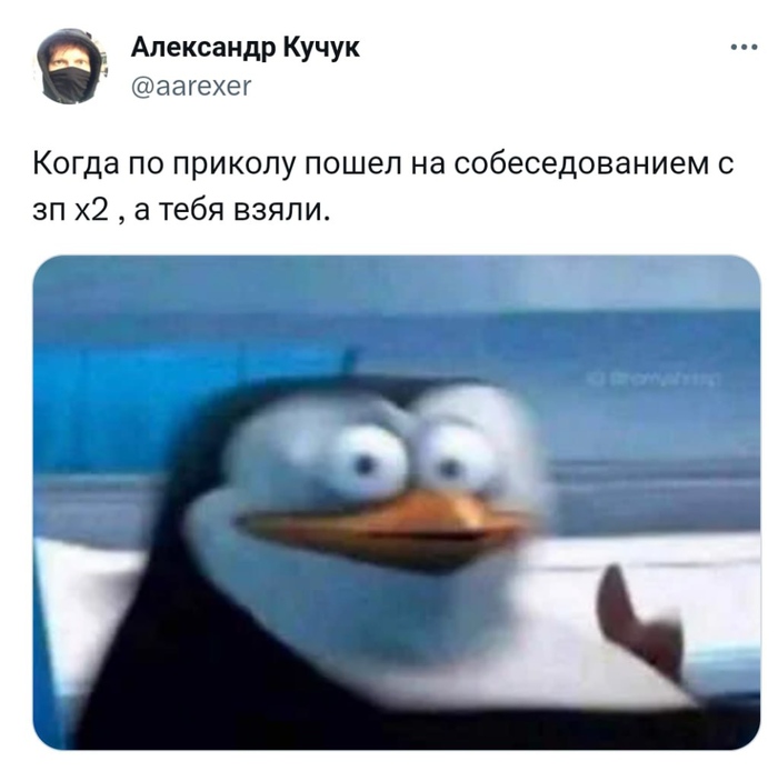 Как говорили философы, удача сопутствует приколистам