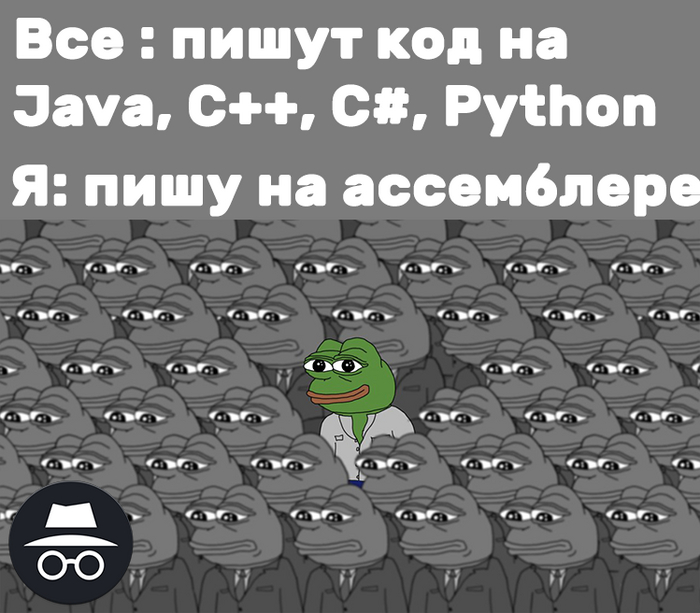      ... IT, IT , , , , Python, C++, Java, ,   , Pepe