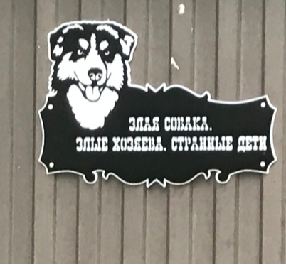 Чувство юмора в порядке | Пикабу