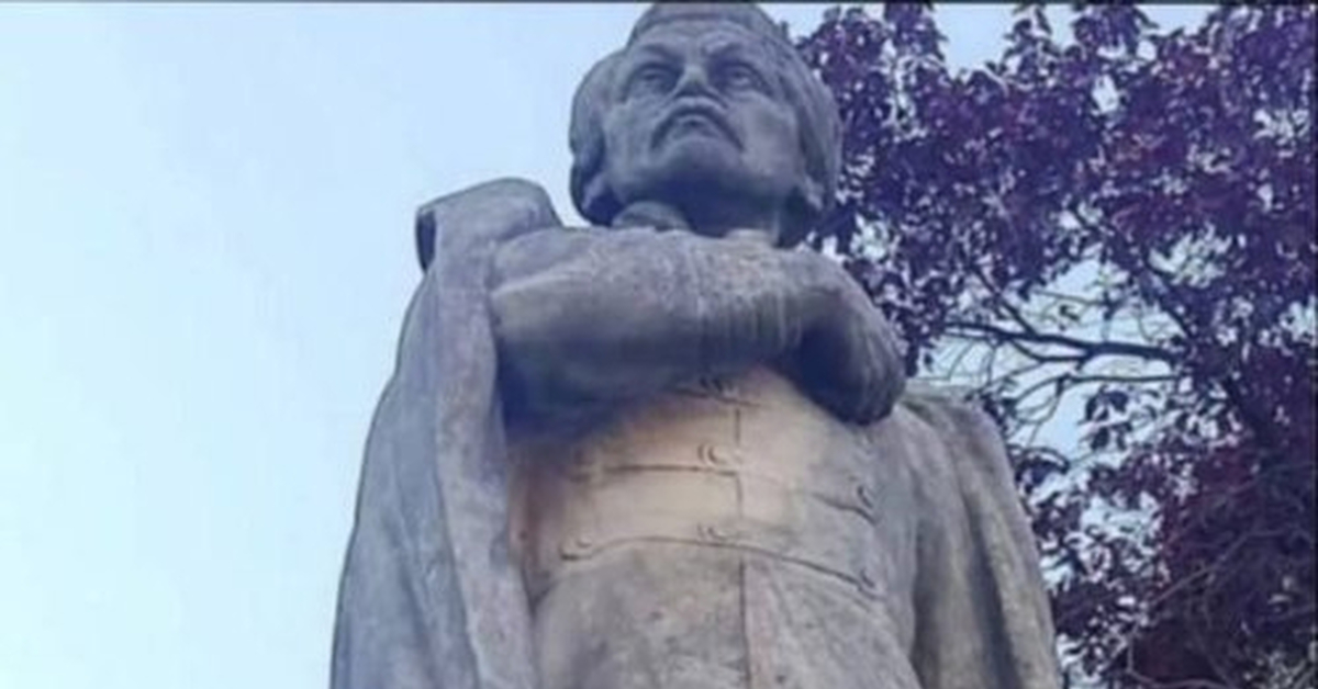 Осиное гнездо | Пикабу