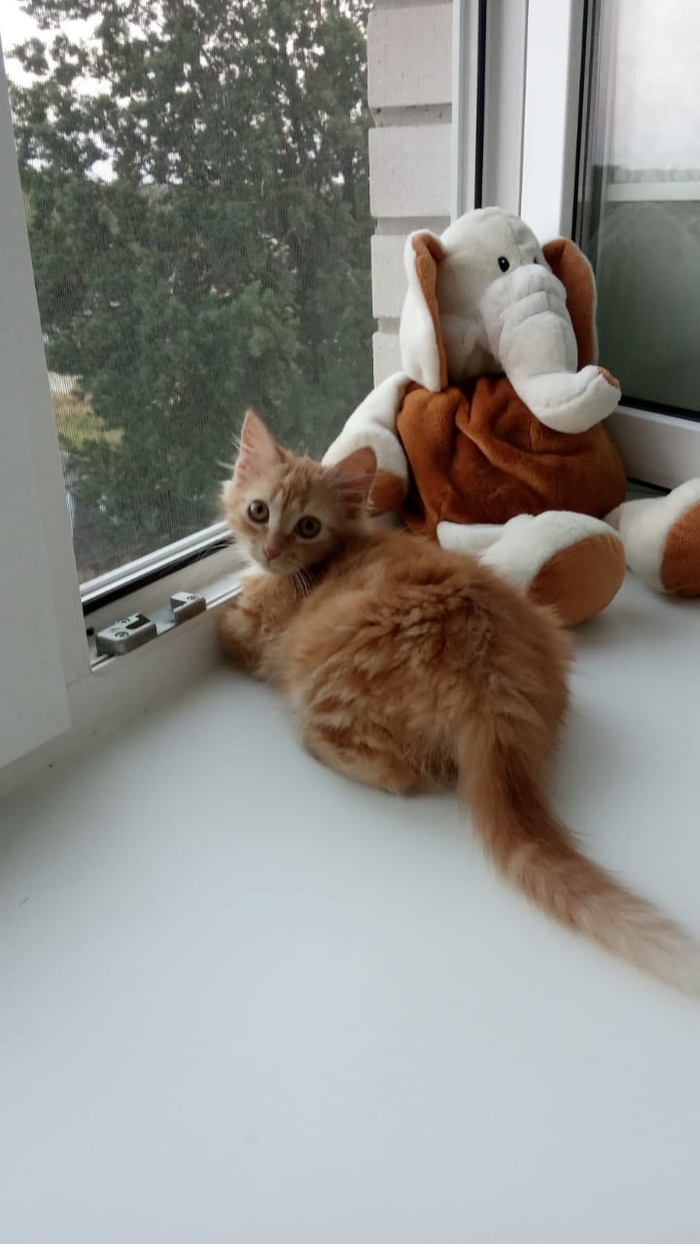       ,  ,  , , , ,  , 