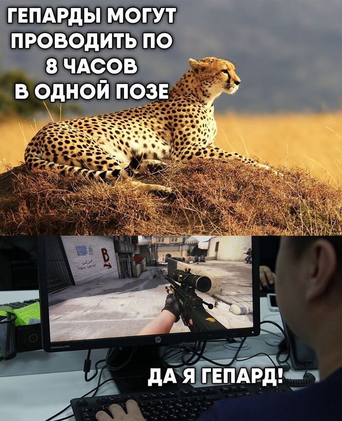 CS mem | Пикабу