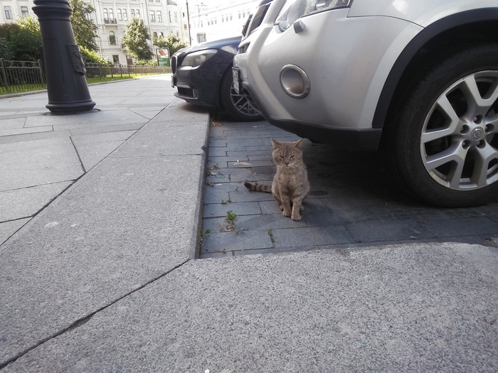  PechenijPirozhok    100   , ,   , ,   , 