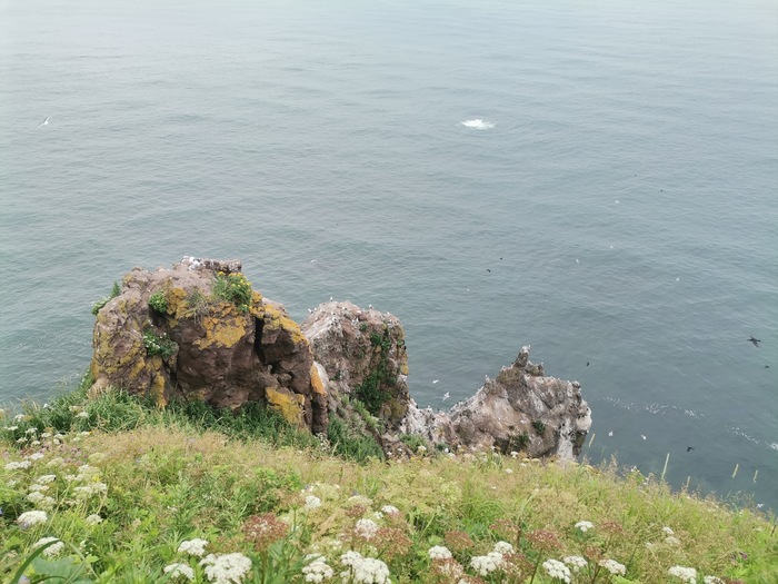 Камчатка. I'm not Hulitakdorogo. I'm Kamchatka Камчатка, Дикая природа, Кит, Медведи, Путешествие по России, Путешествия, Вулкан, Длиннопост, Фотография Камчатка. I'm not Hulitakdorogo. I'm Kamchatka Камчатка, Дикая природа, Кит, Медведи, Путешествие по России, Путешествия, Вулкан, Длиннопост, Фотография