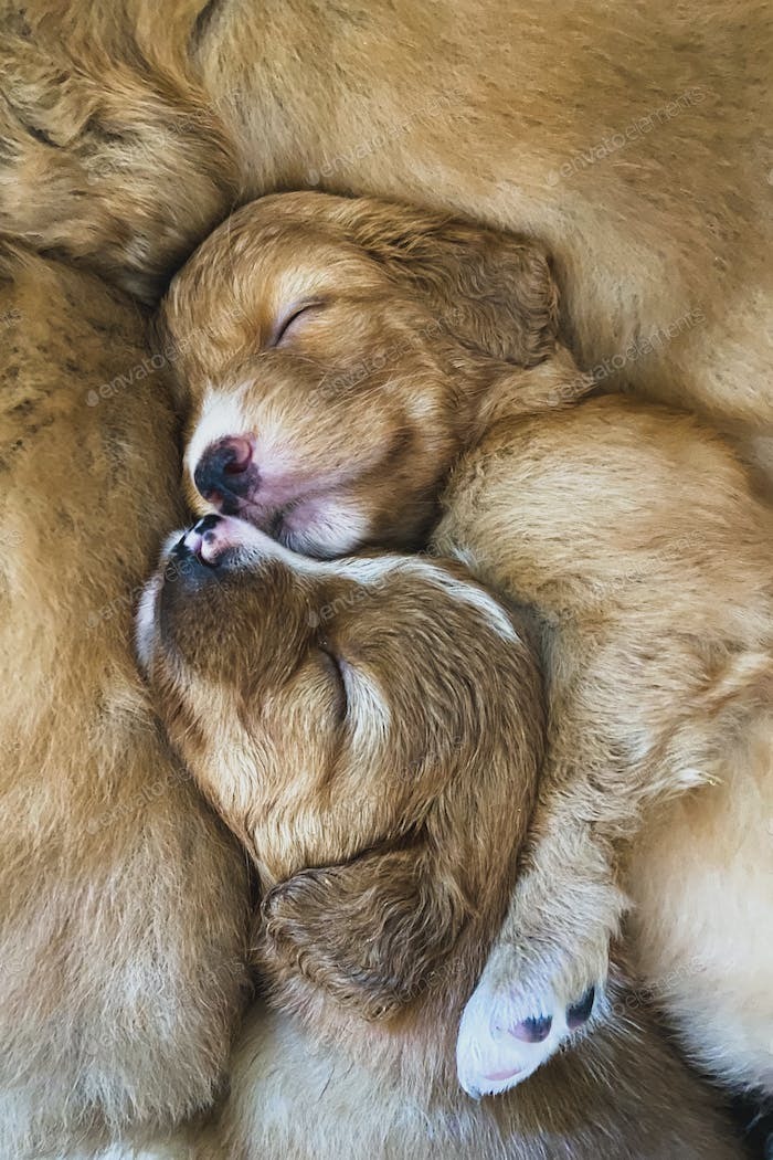 Немного милоты 11