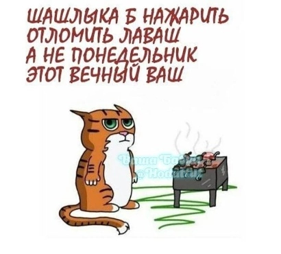 С новой неделей