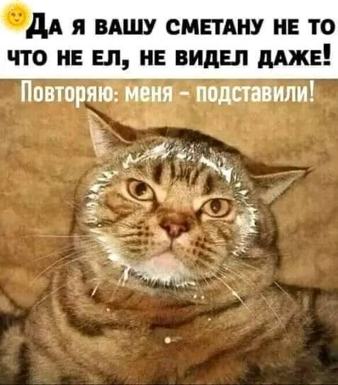 Понятия не имею... | Пикабу