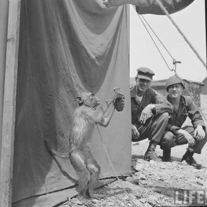 Неожиданно | Пикабу