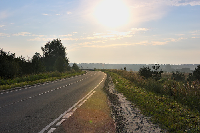 Утро. Солнце. Зайцы...
