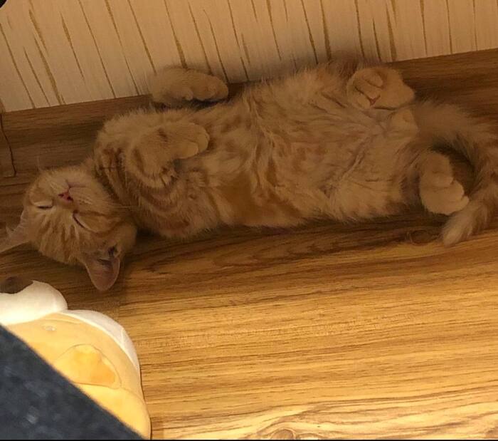 ������� ������, � ����� ������� � ���. � ������������ � ������ � ����� ���, ������ ����� ����������.