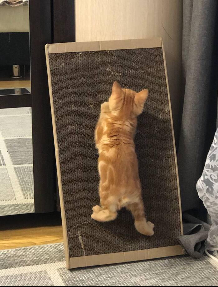 ����� ��� ������ �������.