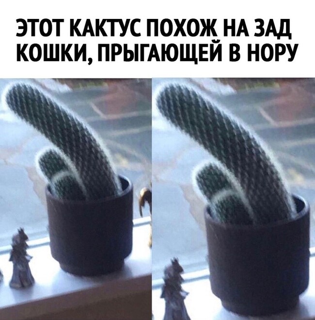 �� ��, ����� ����� �����