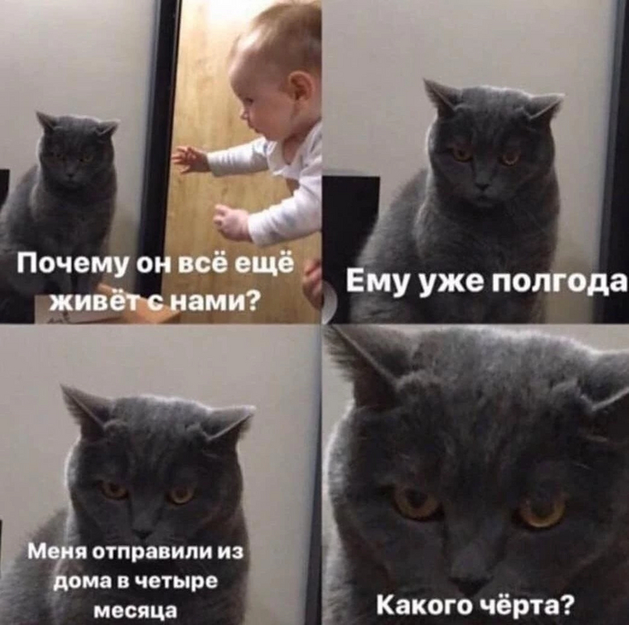 ?