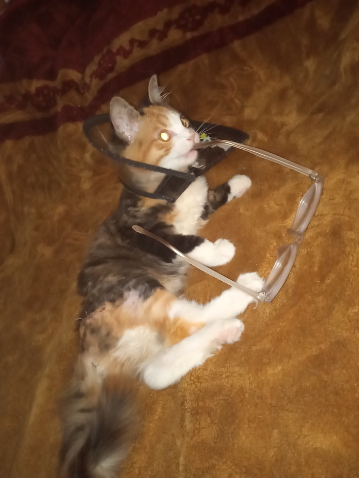 ������� ������� - ��� ���� ))))