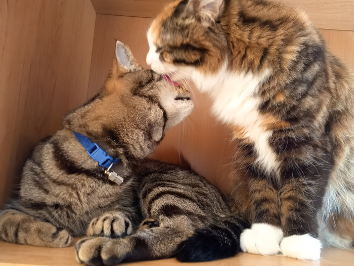 ���� - �������� ���� )))