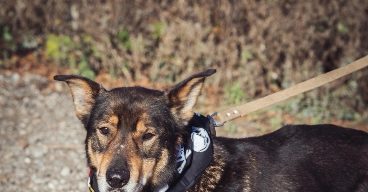 Гром в МП г.Перми | Пикабу