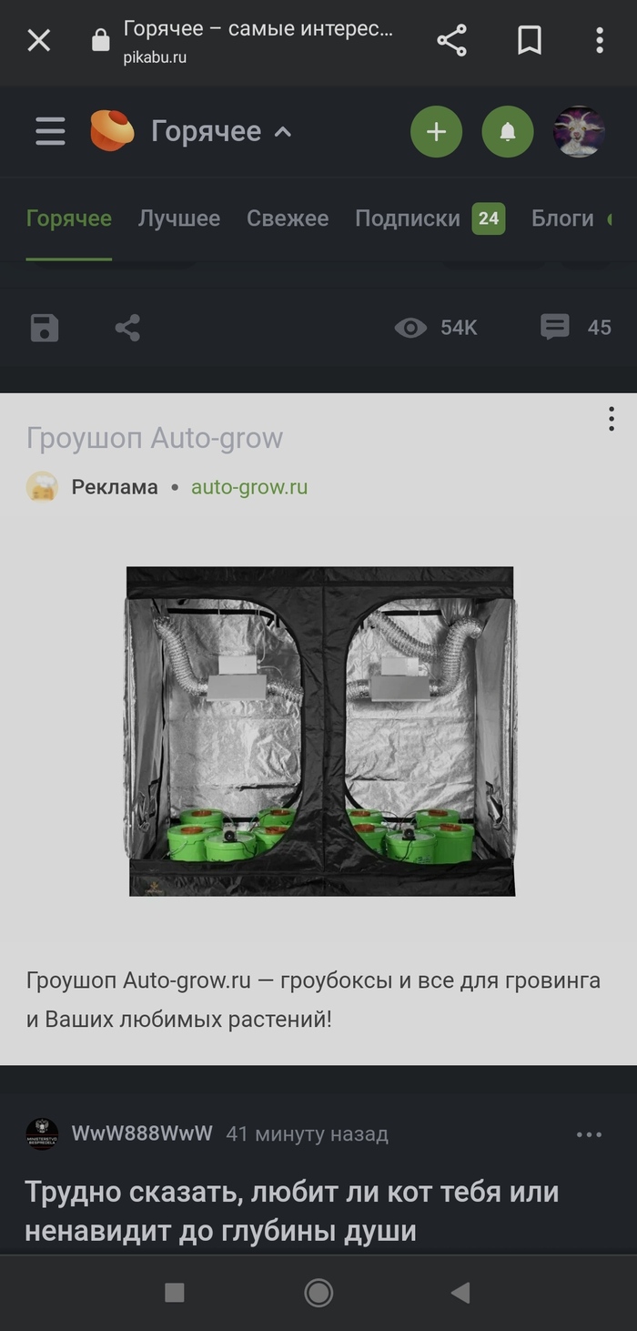     ,  