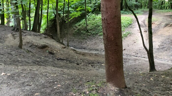 Я, конечно, любитель приключений, но лучше воспользуюсь обходным путём, учитывая запас во времени