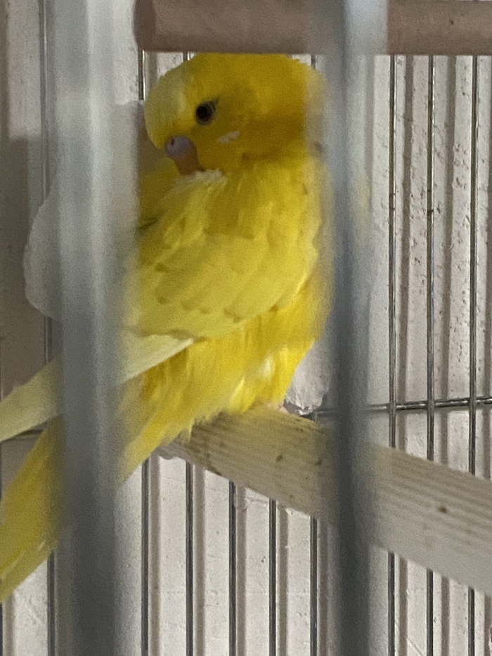 Как же надоело...