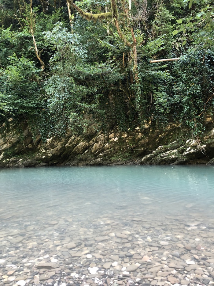 Возле таких мест есть беседки, где можно потрапезничать бутербродами и насладиться прохладой