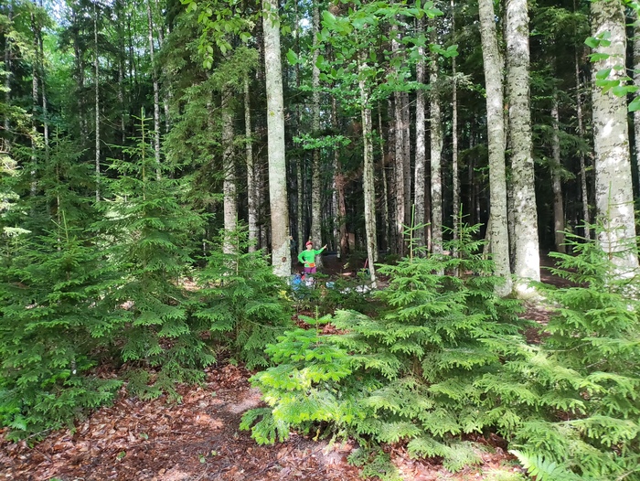 Стоянки на Тридцатом километре с берега реки Малая Лаба.