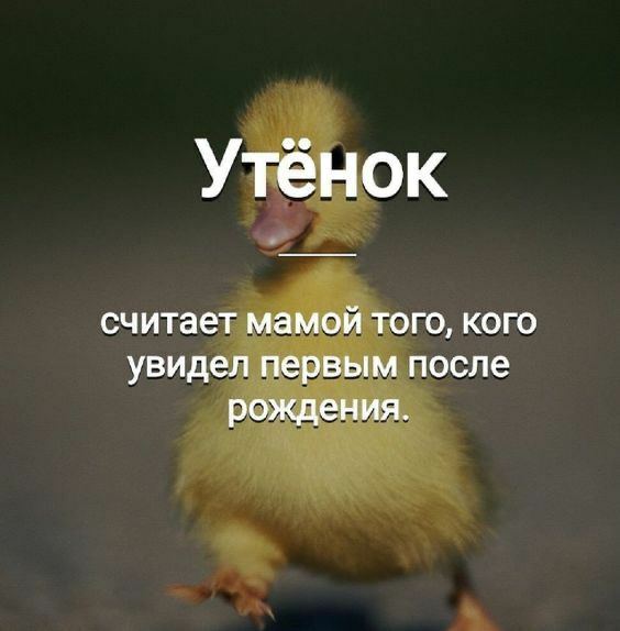 ������ ������� ����� ���� , ���� ������ ������