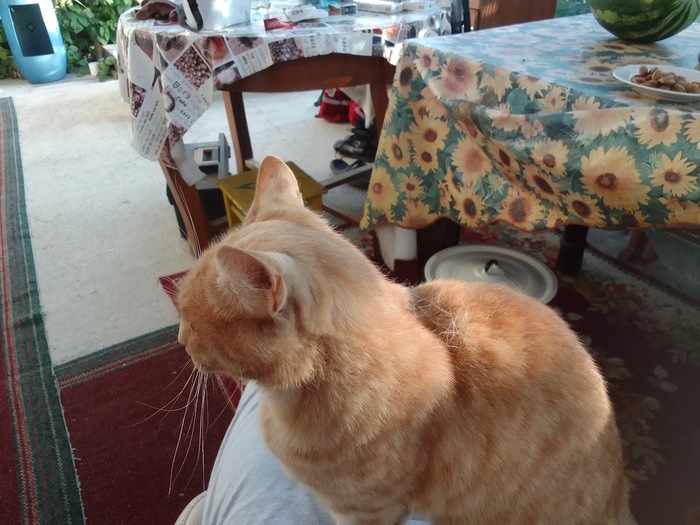 ��������� �����