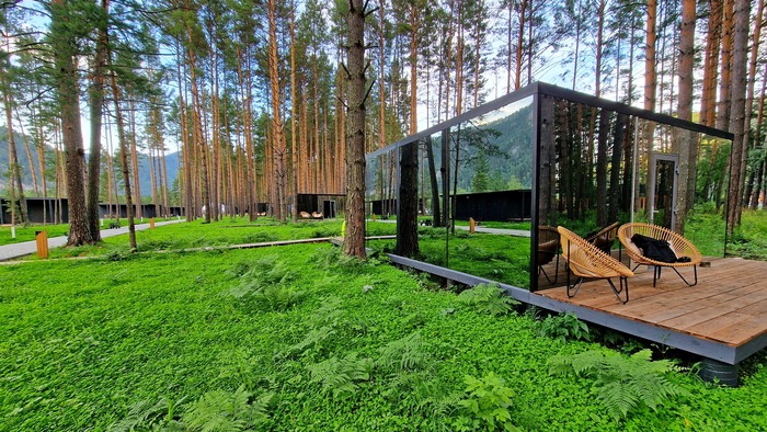 Pinewood ��� �����