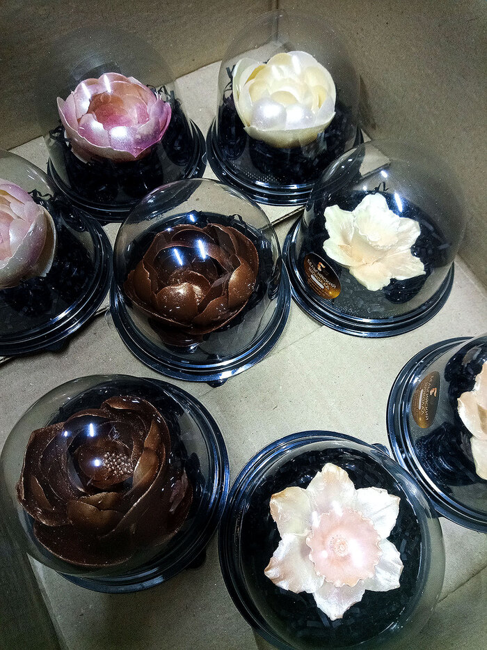 Эксперименты из шоколада