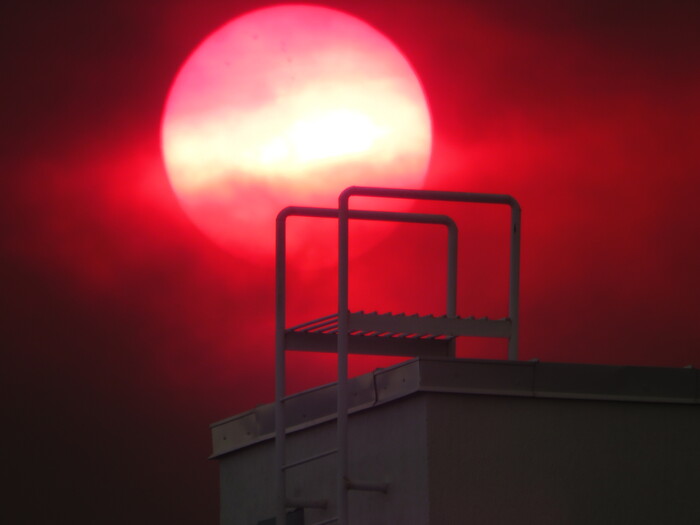 ������ ������� ����.