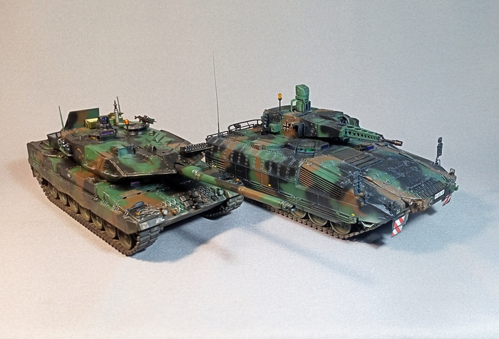    : Leopard 2A6  PUMA