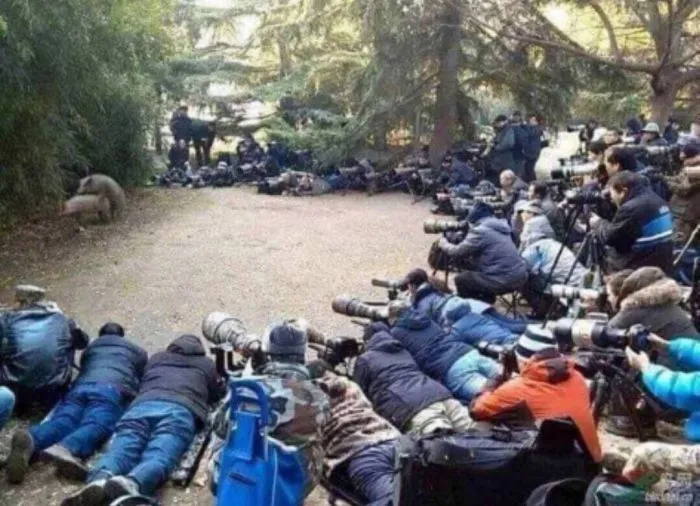 � ����� ��������� �������� �� ������