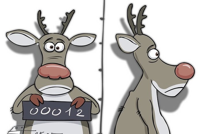 В Норвегии забивают оленей, которые пасутся в России. Что не так с «травой» в России?