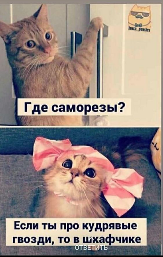 Что такое саморезы | Пикабу