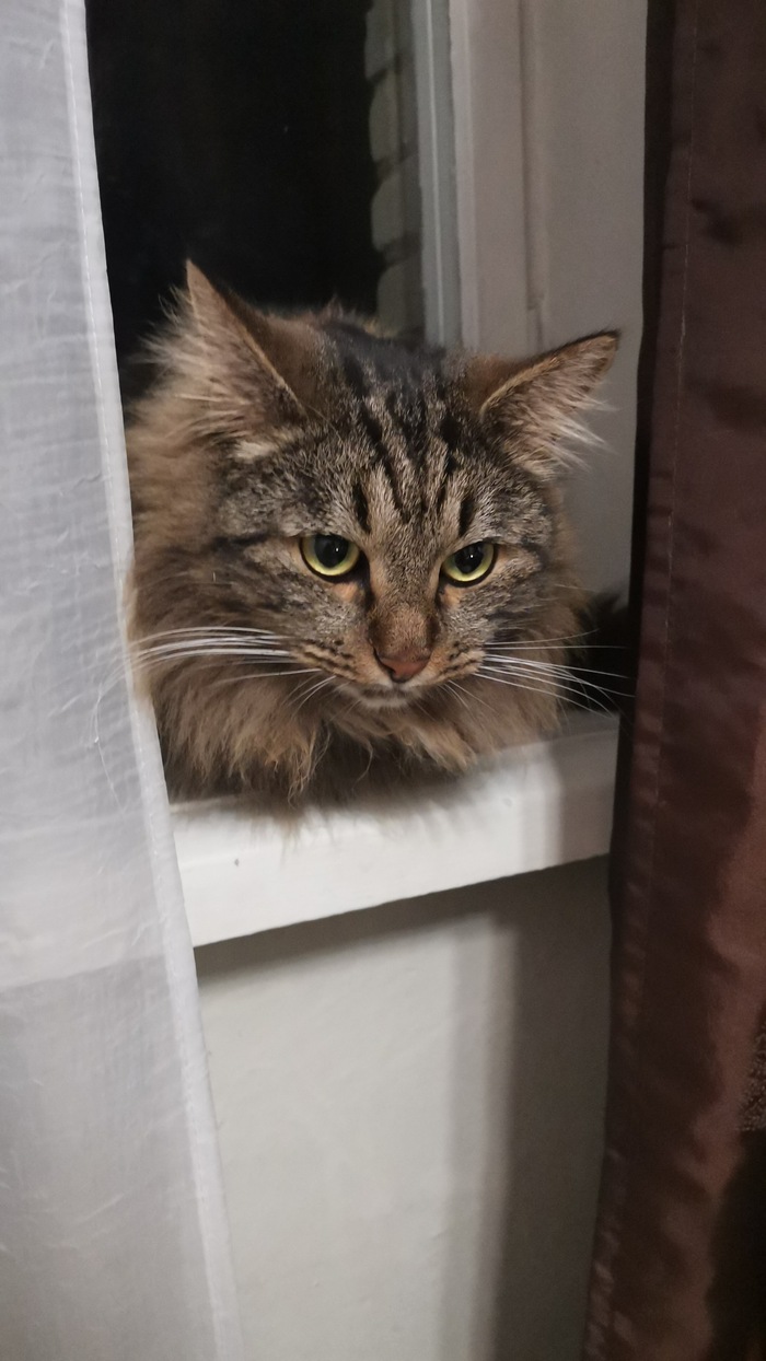 Взгляд ревности.