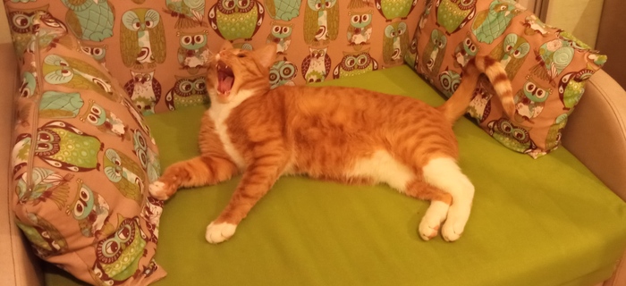 Кончится лето...