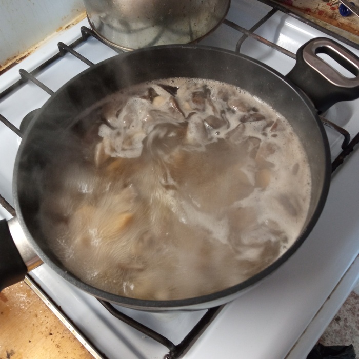 Суп из лесных грибов с сыром и сливками Рецепт, Кулинария, Грибной суп, Сырный суп, Урожай, Длиннопост, Суп