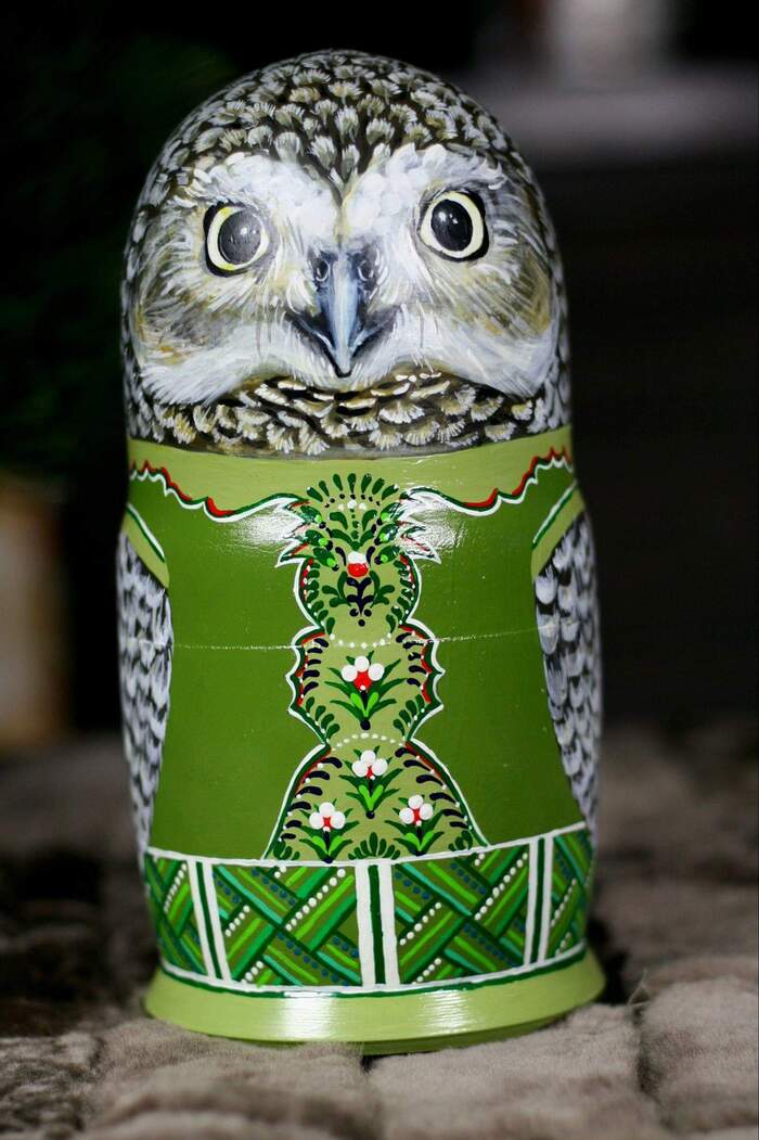 � ���� ����...