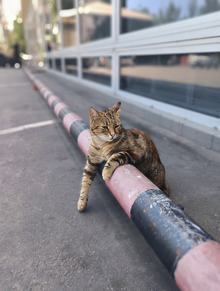 ������������ ���