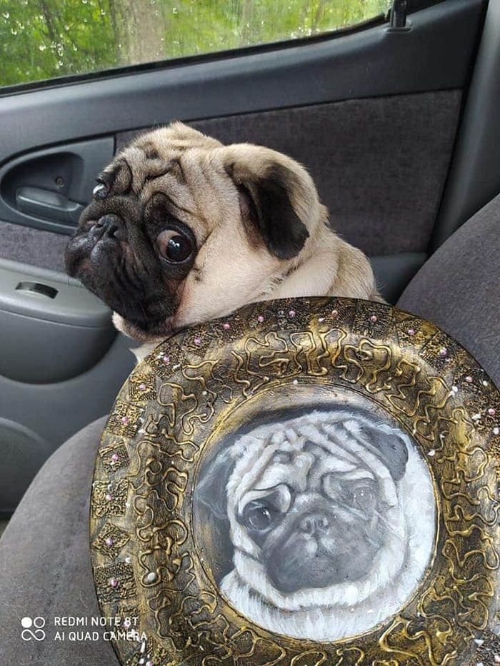 ������ �������� �� ����� ��������� �� �������