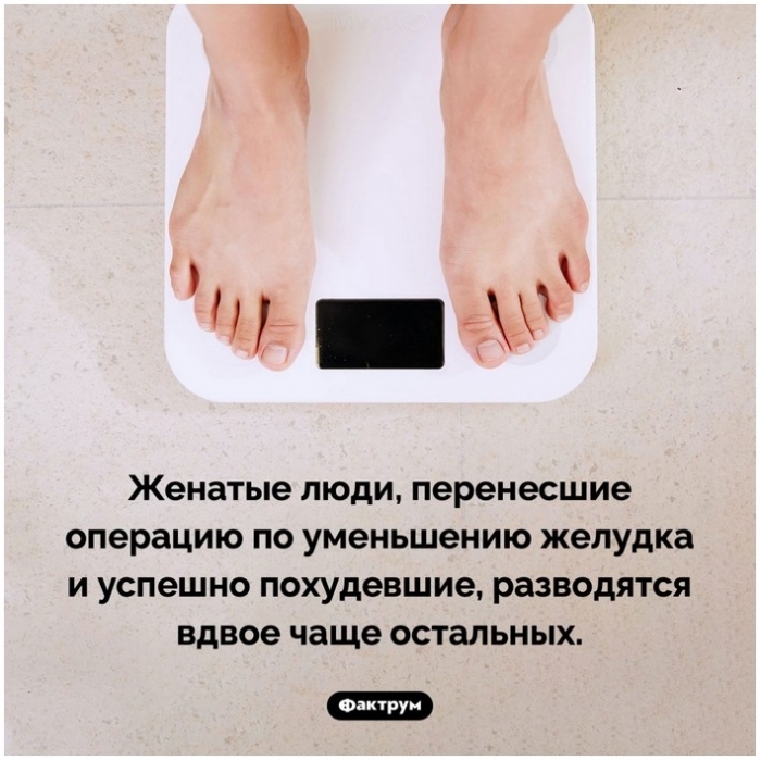 Факты в картинках | Пикабу