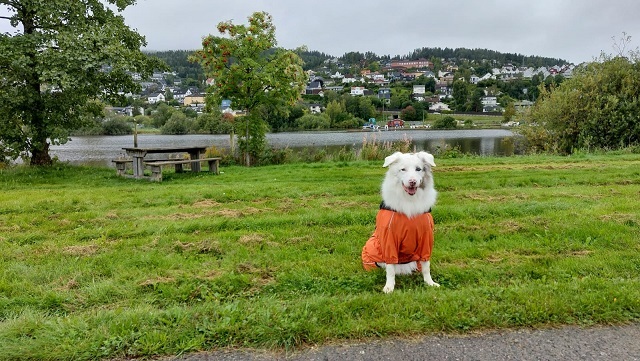 ��� �� � �������� ��������