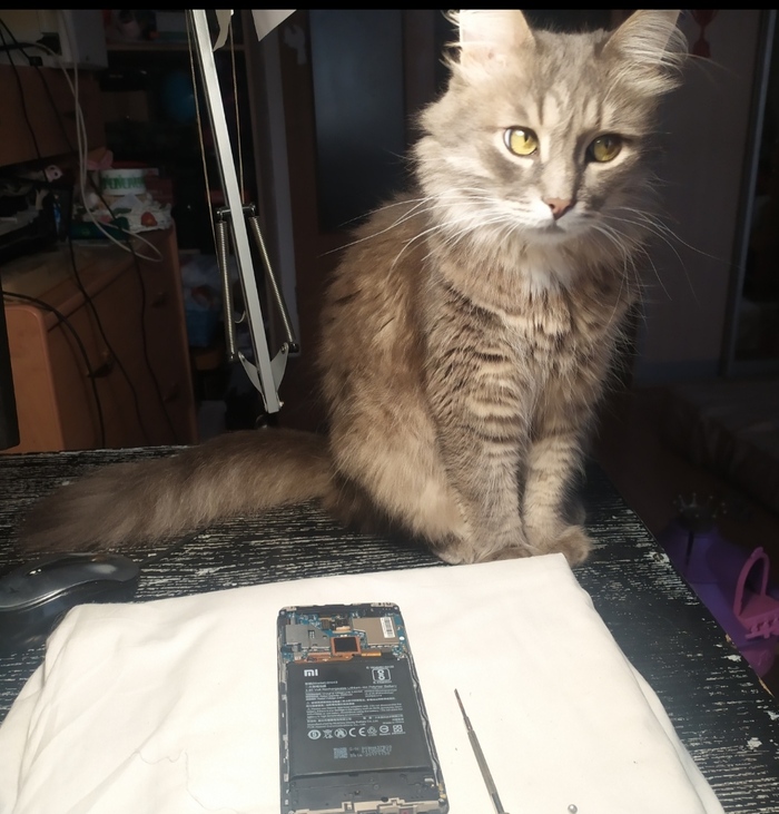 �������� �������. ������� ����� �������������)